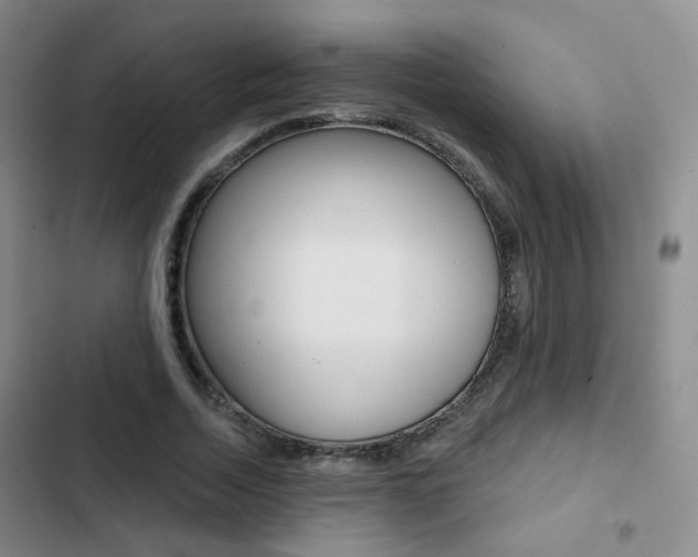 X0000103240730200808281033