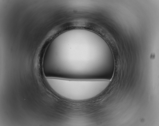 X0000103240731200808281033
