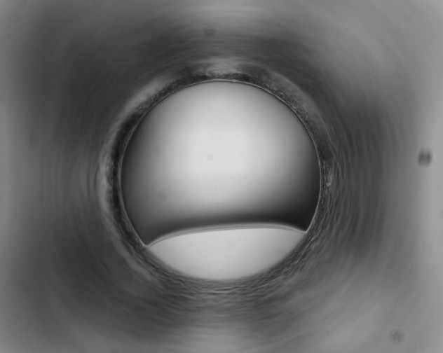 X0000103240732200808281033