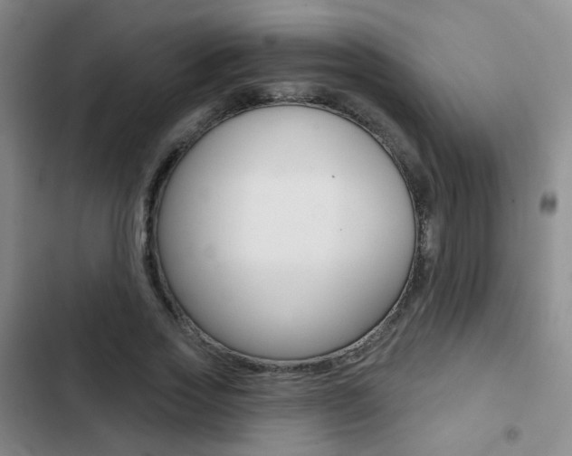 X0000103240733200808281033
