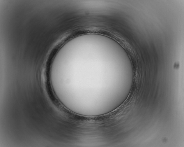 X0000103240734200808281033