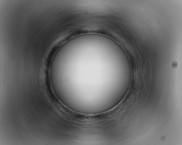 X0000103240735200808281033