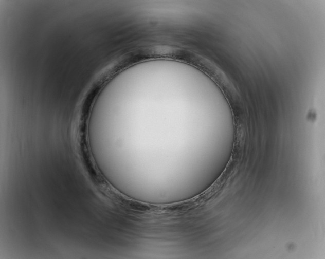 X0000103240736200808281033