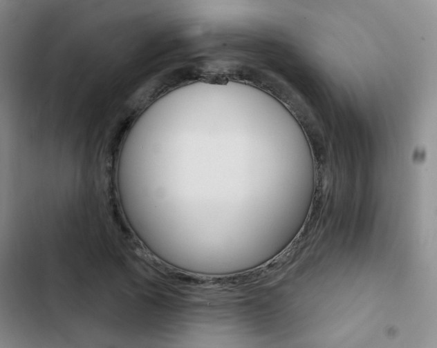 X0000103240737200808281033