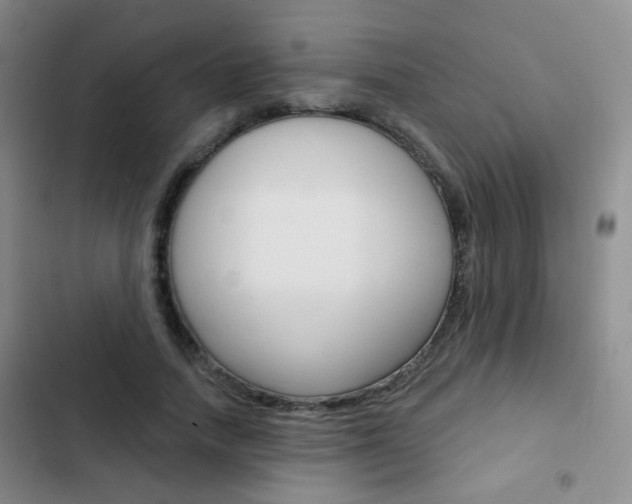 X0000103240738200808281033