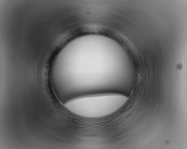 X0000103240739200808281033