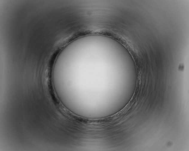 X0000103240740200808281033