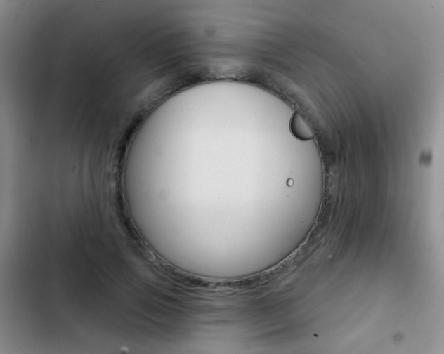 X0000103240741200808281033