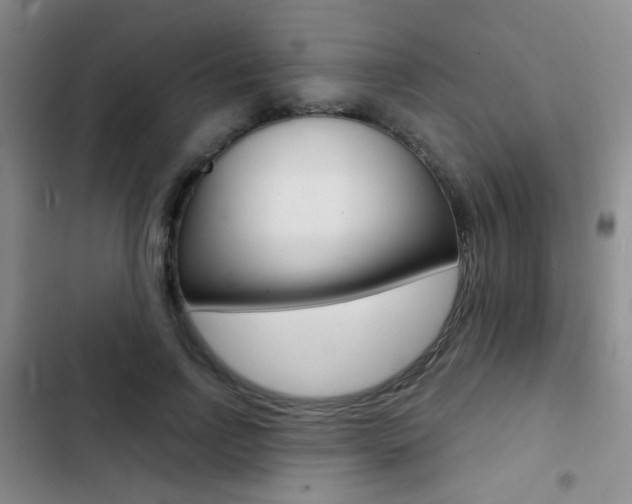 X0000103240742200808281033