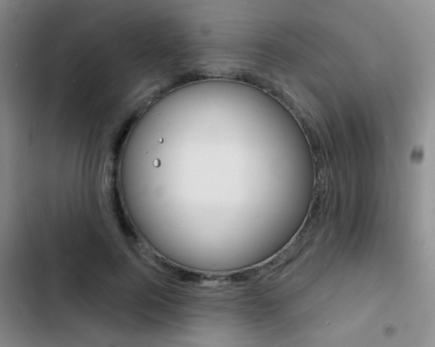 X0000103240744200808281033
