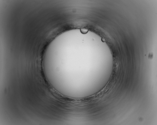 X0000103240745200808281033