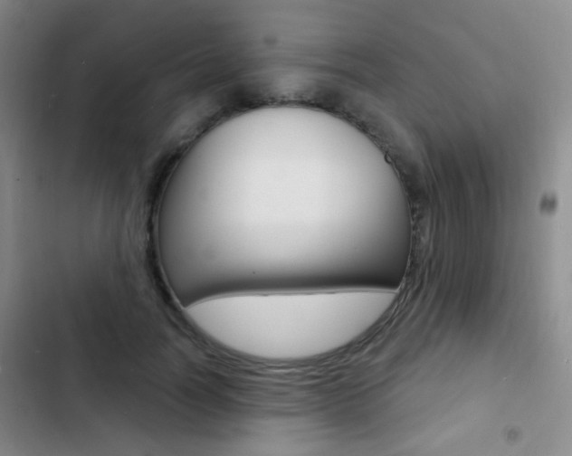 X0000103240746200808281033