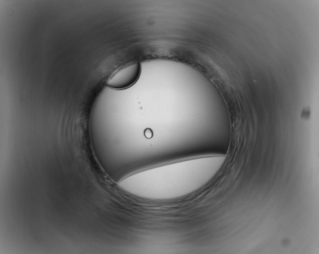X0000103240747200808281033