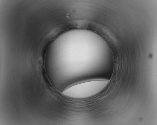 X0000103240748200808281033