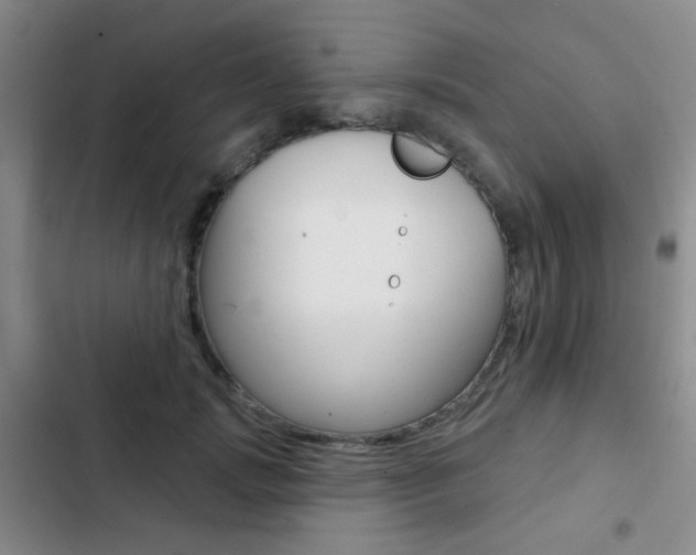 X0000103240749200808281033