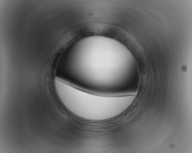 X0000103240750200808281033