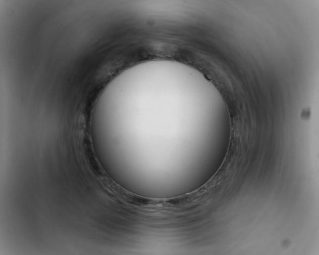 X0000103240752200808281033