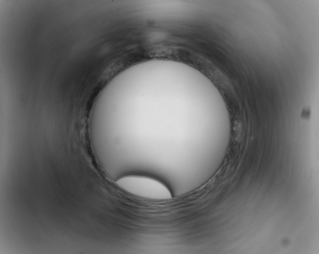 X0000103240753200808281033