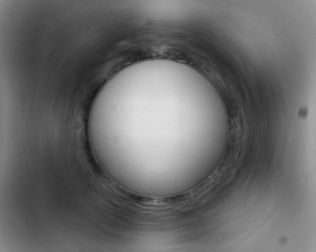 X0000103240754200808281033