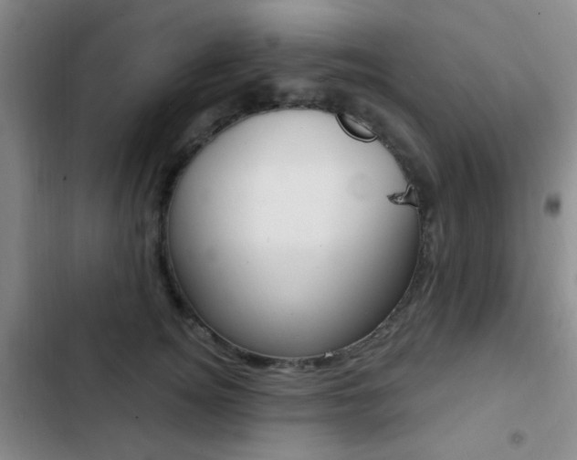 X0000103240756200808281033