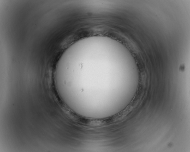 X0000103240757200808281033