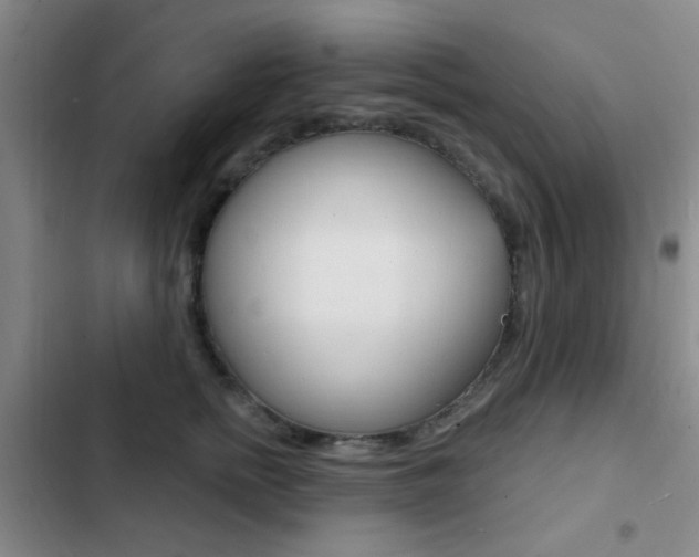 X0000103240758200808281033