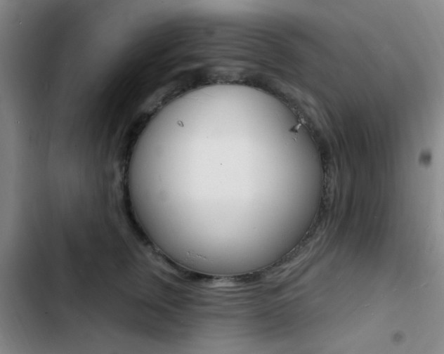 X0000103240759200808281033