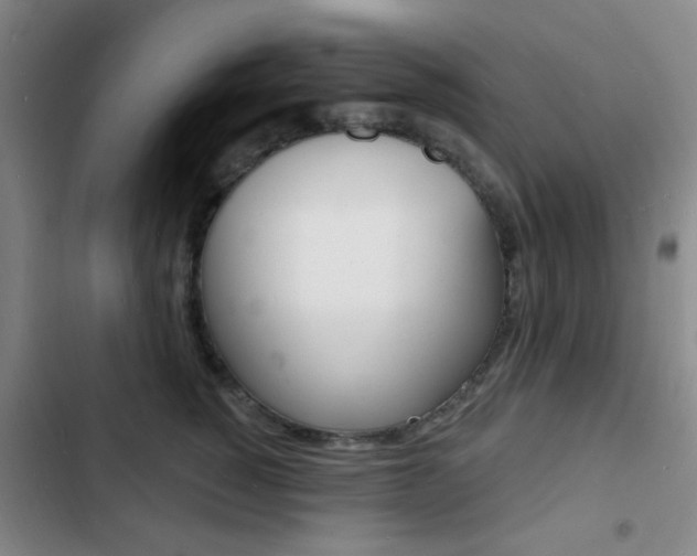 X0000103240760200808281033