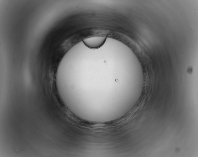 X0000103240761200808281033