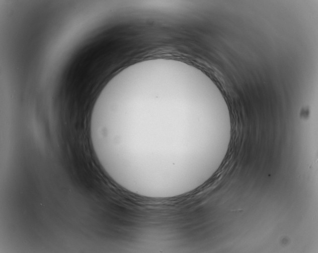 X0000103240762200808281033