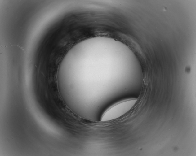 X0000103240763200808281033