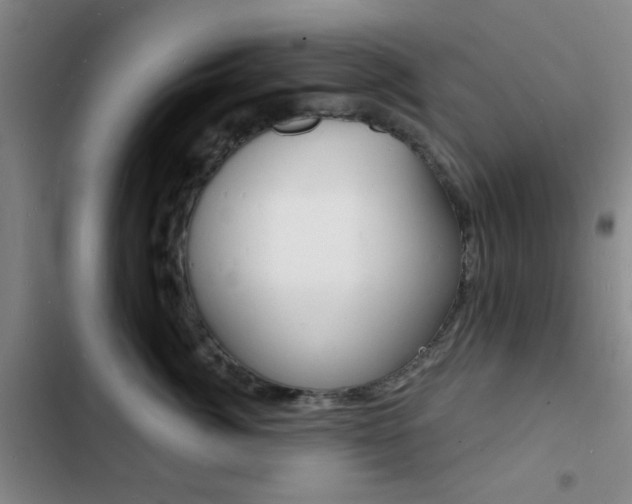 X0000103240764200808281033