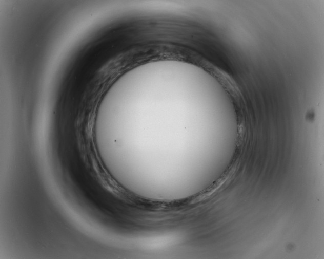 X0000103240765200808281033