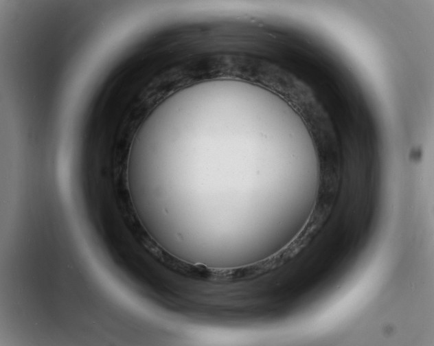 X0000103240766200808281033