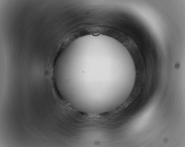 X0000103240767200808281033