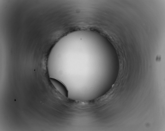X0000103240768200808281033