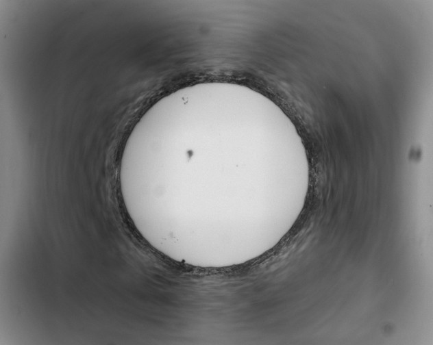 X0000103240769200808281033
