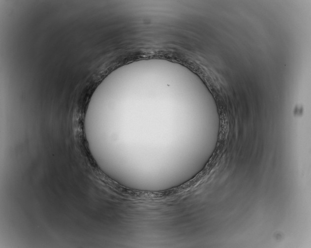 X0000103240770200808281033