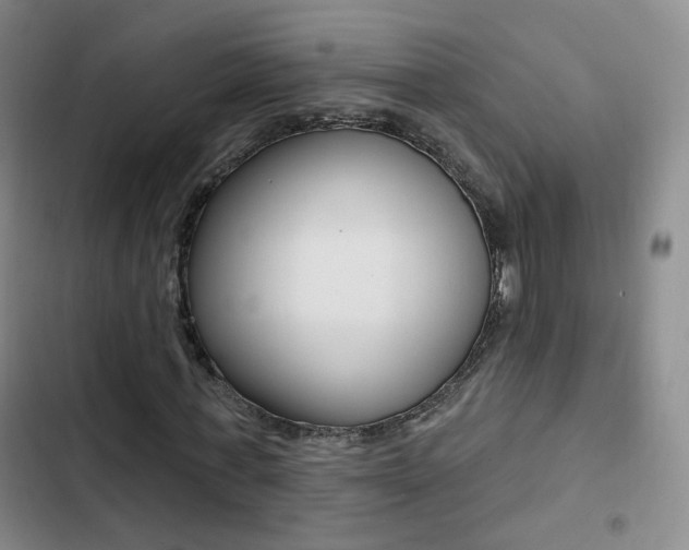 X0000103240771200808281032