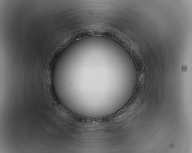 X0000103240772200808281032