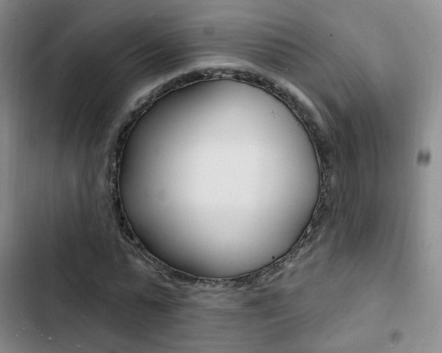 X0000103240775200808281032