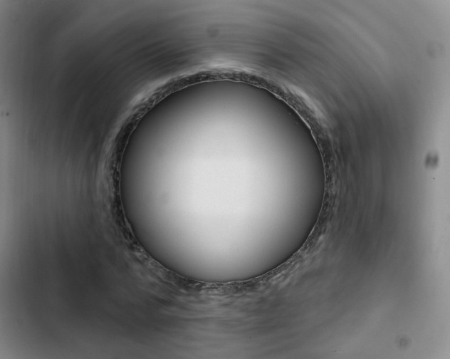 X0000103240776200808281032