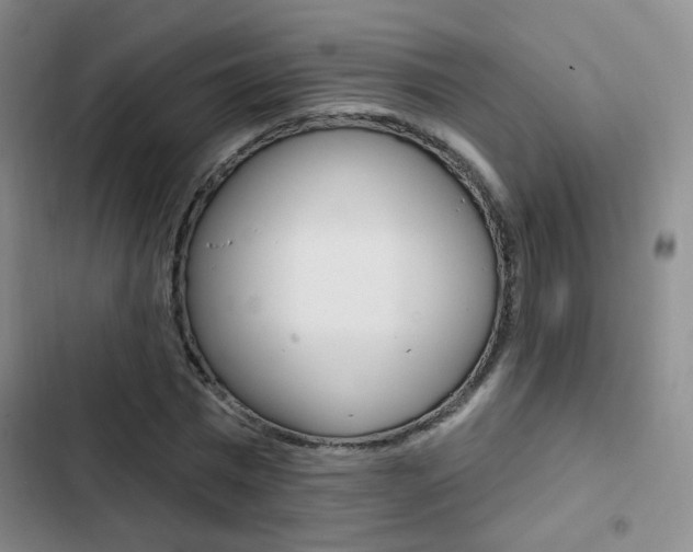 X0000103240777200808281032