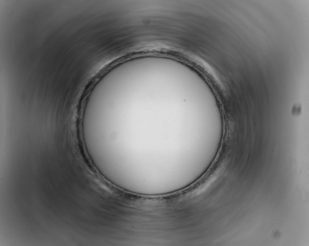 X0000103240778200808281032
