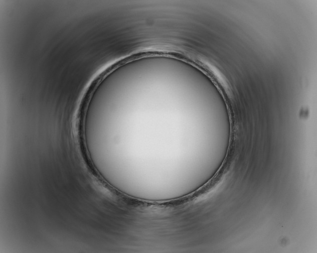 X0000103240779200808281032