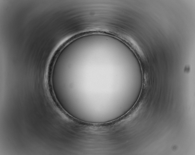 X0000103240780200808281032