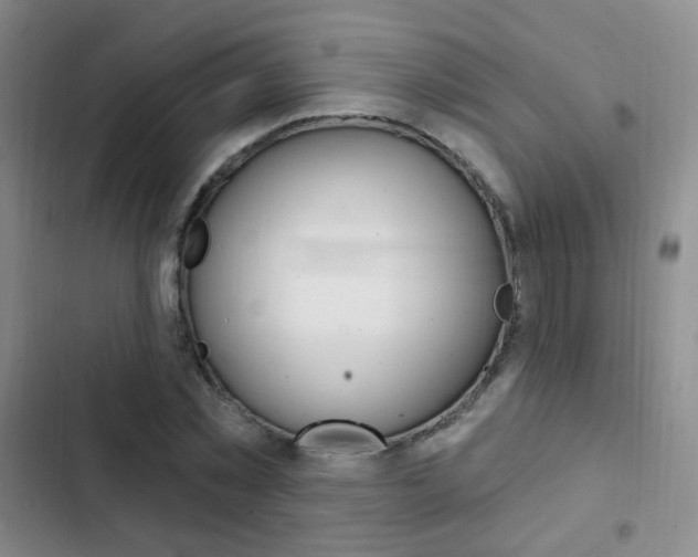 X0000103240781200808281032
