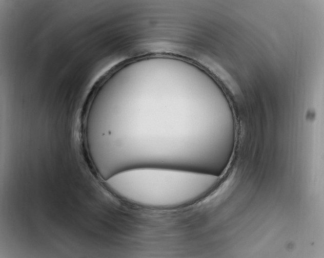 X0000103240782200808281032
