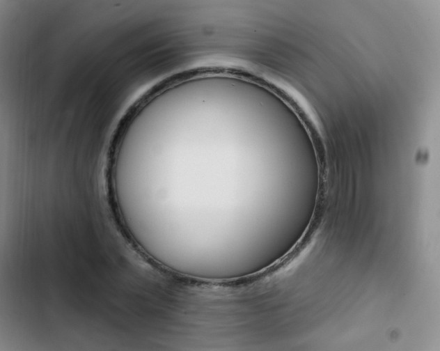 X0000103240783200808281032