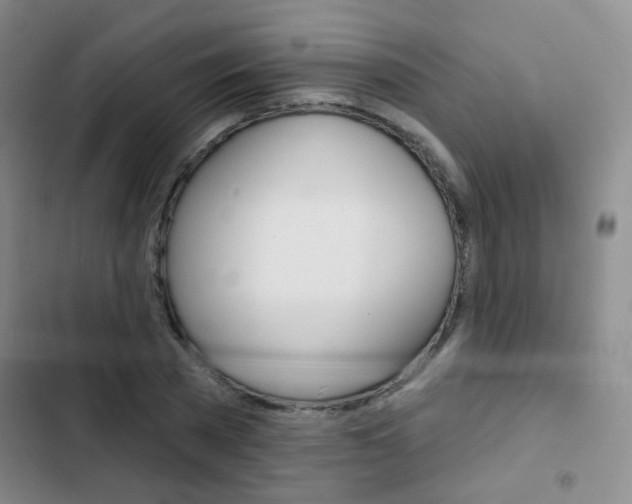 X0000103240785200808281032